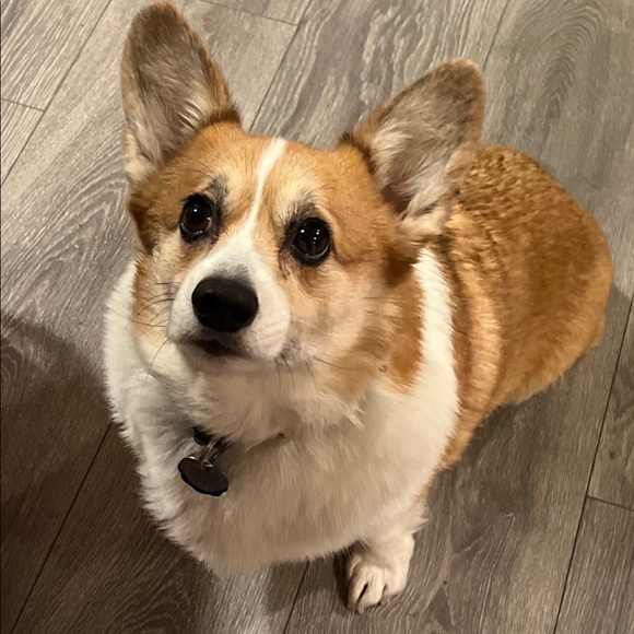 Meet the Posher - Picture 2 of 10